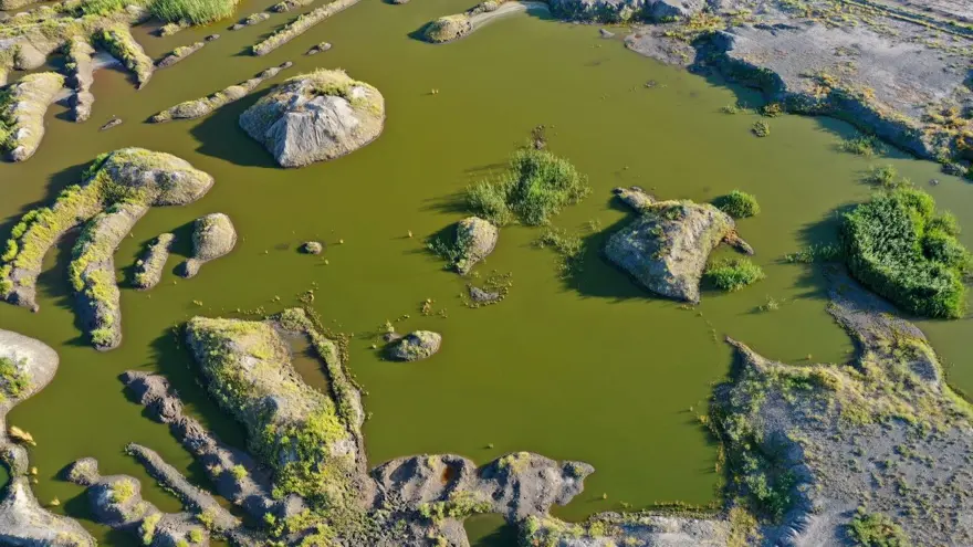 Ağrı Dağı eteklerindeki renkli sulak alanlar ilgi çekiyor 13
