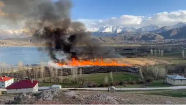 Kuş cennetinde yangın! Sazlıkları yaktılar