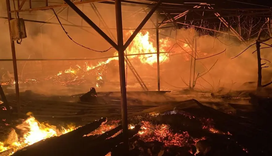 Çiftlik alevlere teslim oldu, ekipler sabaha kadar alevlerlemücadele etti 2