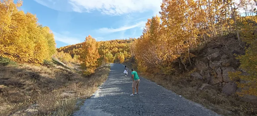 "AYILARIN BESLENME ALIŞKANLIKLARI OLUMSUZ ETKİLENDİ" 2