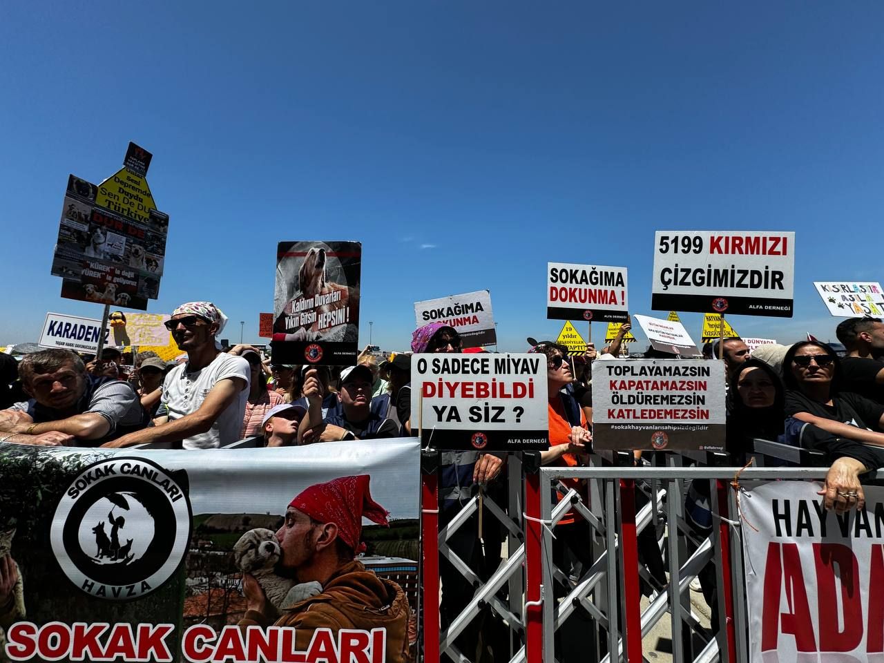 Binlerce kişi sokak hayvanları için toplandı: "Hapsedemezsin, öldüremezsin!"