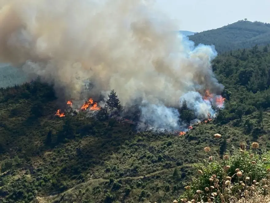 İzmir, Muğla, Balıkesir ve Kahramanmaraş’ta orman yangınları 12
