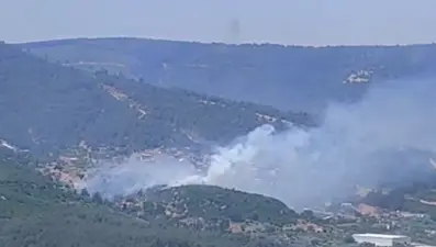 İzmir'de orman yangını