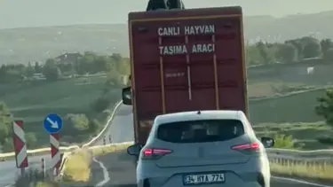 Kamyonun üzerinde tehlikeli yolculuk
