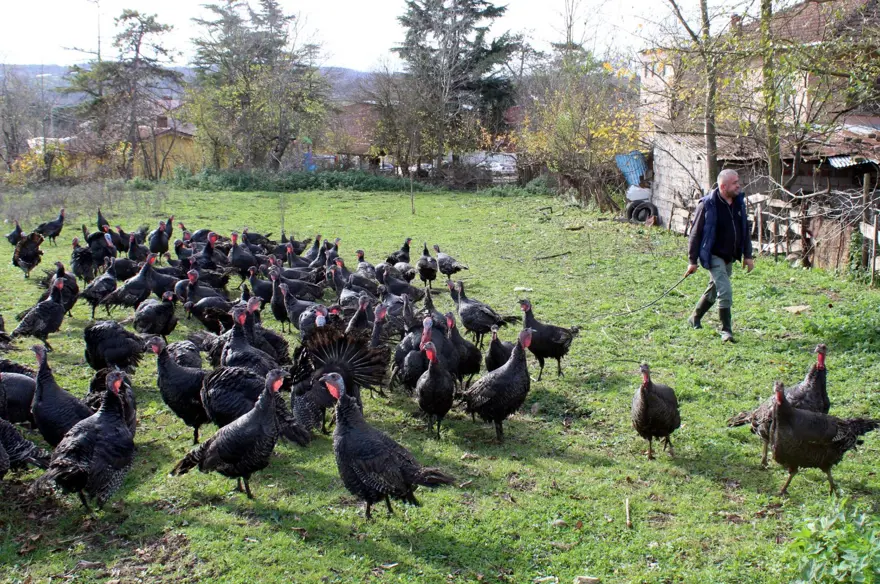 100 LİRADAN BİN LİRAYA KADAR ÇIKIYOR 2