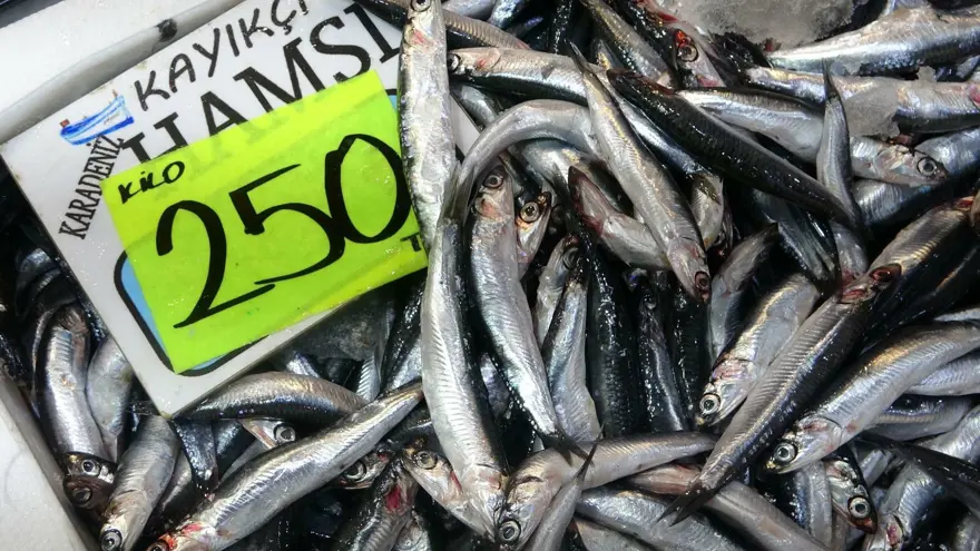 Balıkçılar bollukla karşılaştı: "Daha da iyi olacak" 