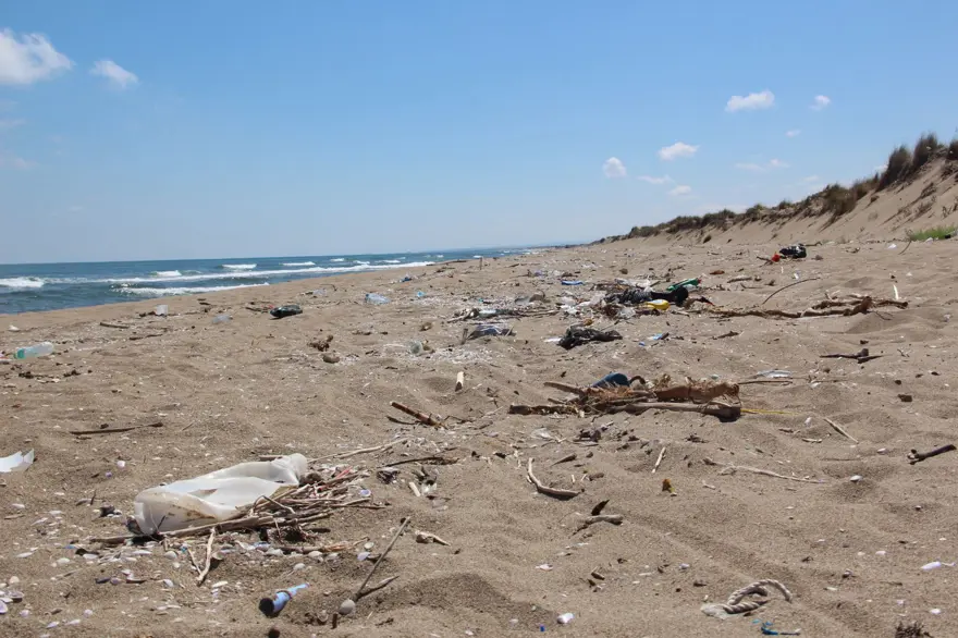 Kaderine terk edildi: 2 kilometrelik kumsal çöple kaplandı 8