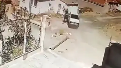 Seyir halindeki araçta yılan paniği