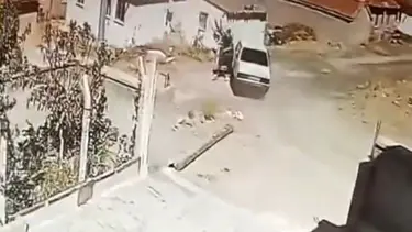 Seyir halindeki araçta yılan paniği