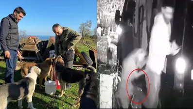 Köpeği tekmeleyen hayvan koruma derneği üyesi istifa etti