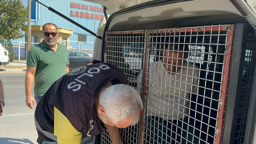 72 SAAT KAMERA KAYDI İNCELENDİ 2