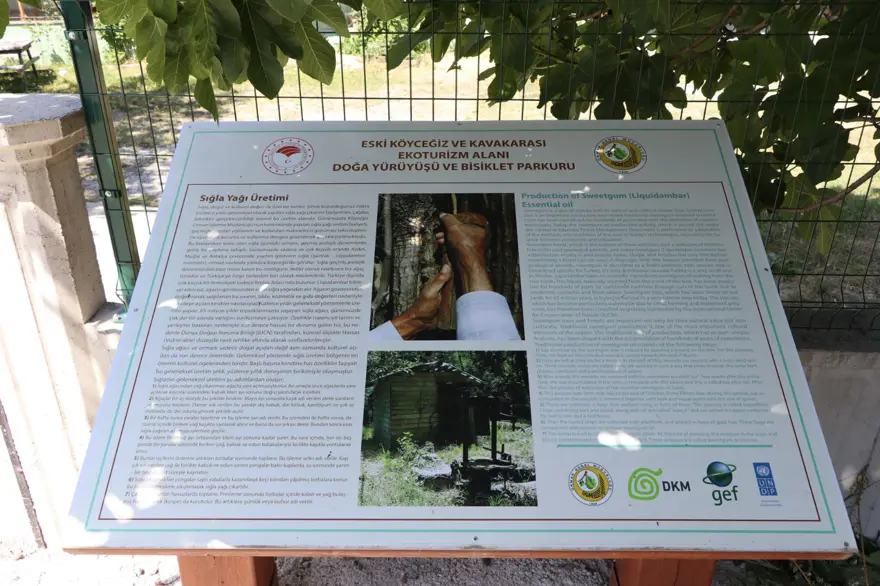 Muğla'da Yeşil Nefes Turu'yla eko turizm tanıtımı 10