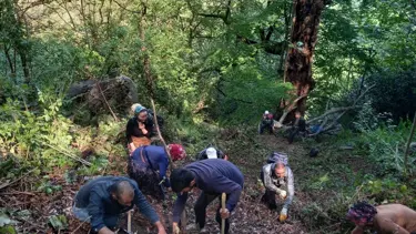 Gümüşhane'de ormanda insan kafatası ve kemikleri bulundu