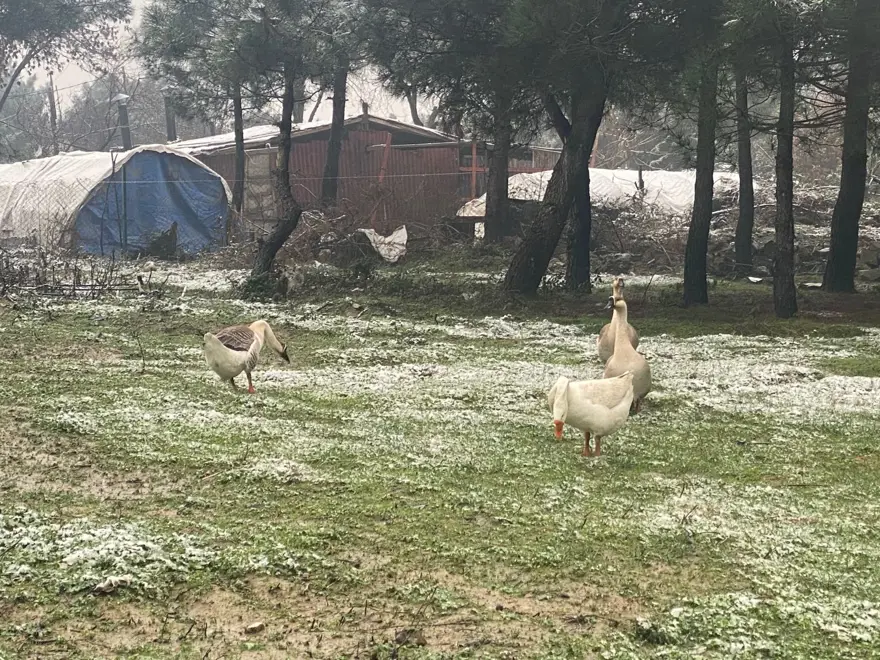 İstanbul'a yılın ilk karı düştü 17 İstanbul'a yılın ilk karı düştü 17