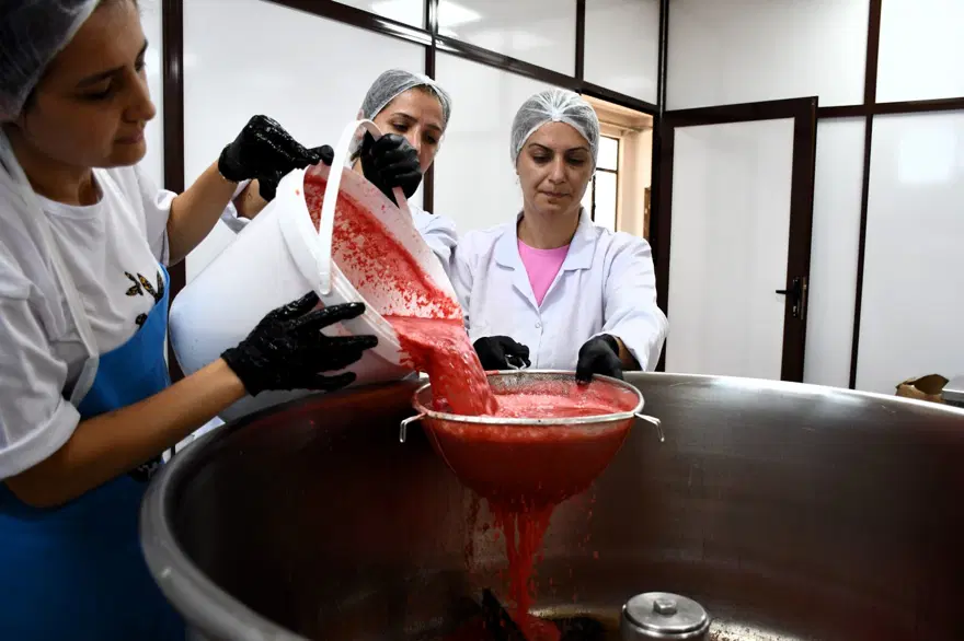 Karpuz pekmeze dönüştü: Değerini 25 kat artırdılar 5