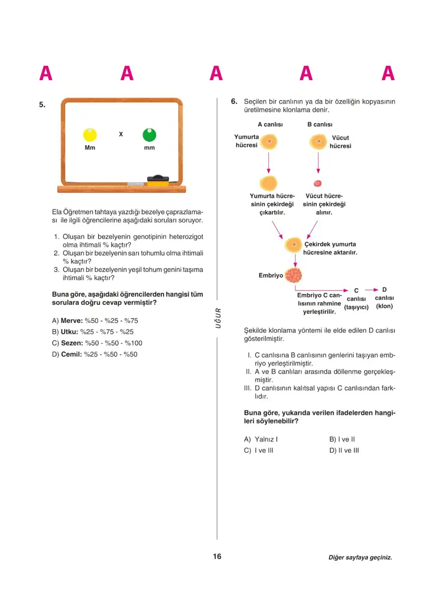 LGS deneme sınavı - Sayısal bölüm 15 LGS deneme sınavı - Sayısal bölüm 15
