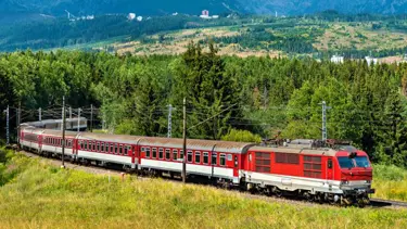 Slovakya’da tren kazası: 66 yaralı