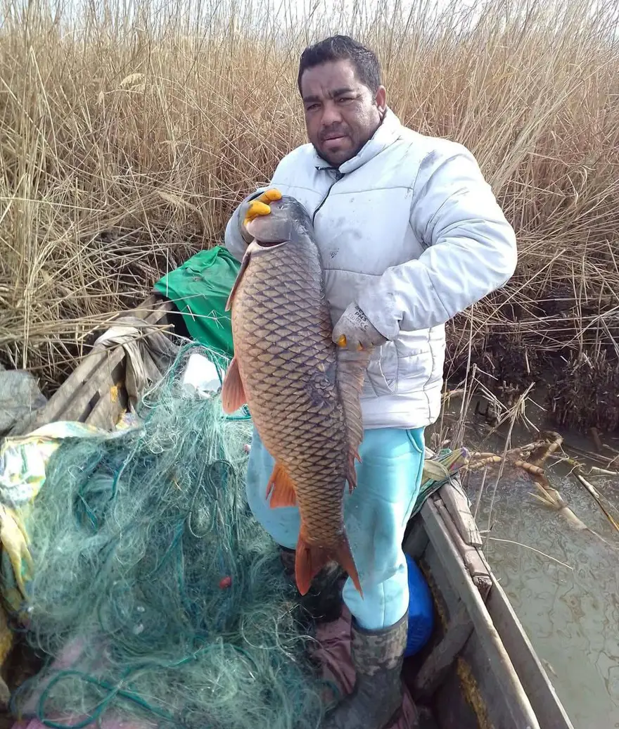 Edirne'de 18 kiloluk sazan balıkçılardan kaçamadı 