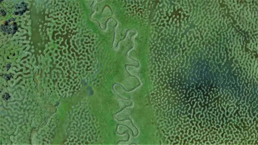 Türkiye'de böylesini hiç görmediniz! Sakarya'daki Karagöl Yaylası hayran bıraktı 7 Türkiye'de böylesini hiç görmediniz! Sakarya'daki Karagöl Yaylası hayran bıraktı 7