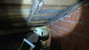 Evin çatısında yaban arısı paniği: İtfaiye ekipleri çıkardı