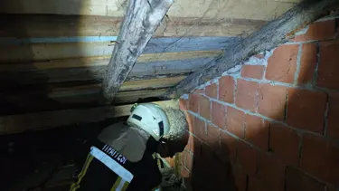 Evin çatısında yaban arısı paniği: İtfaiye ekipleri çıkardı