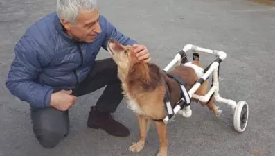 Felçli hayvanların iyilik meleği: Agop Kuyumcuoğlu