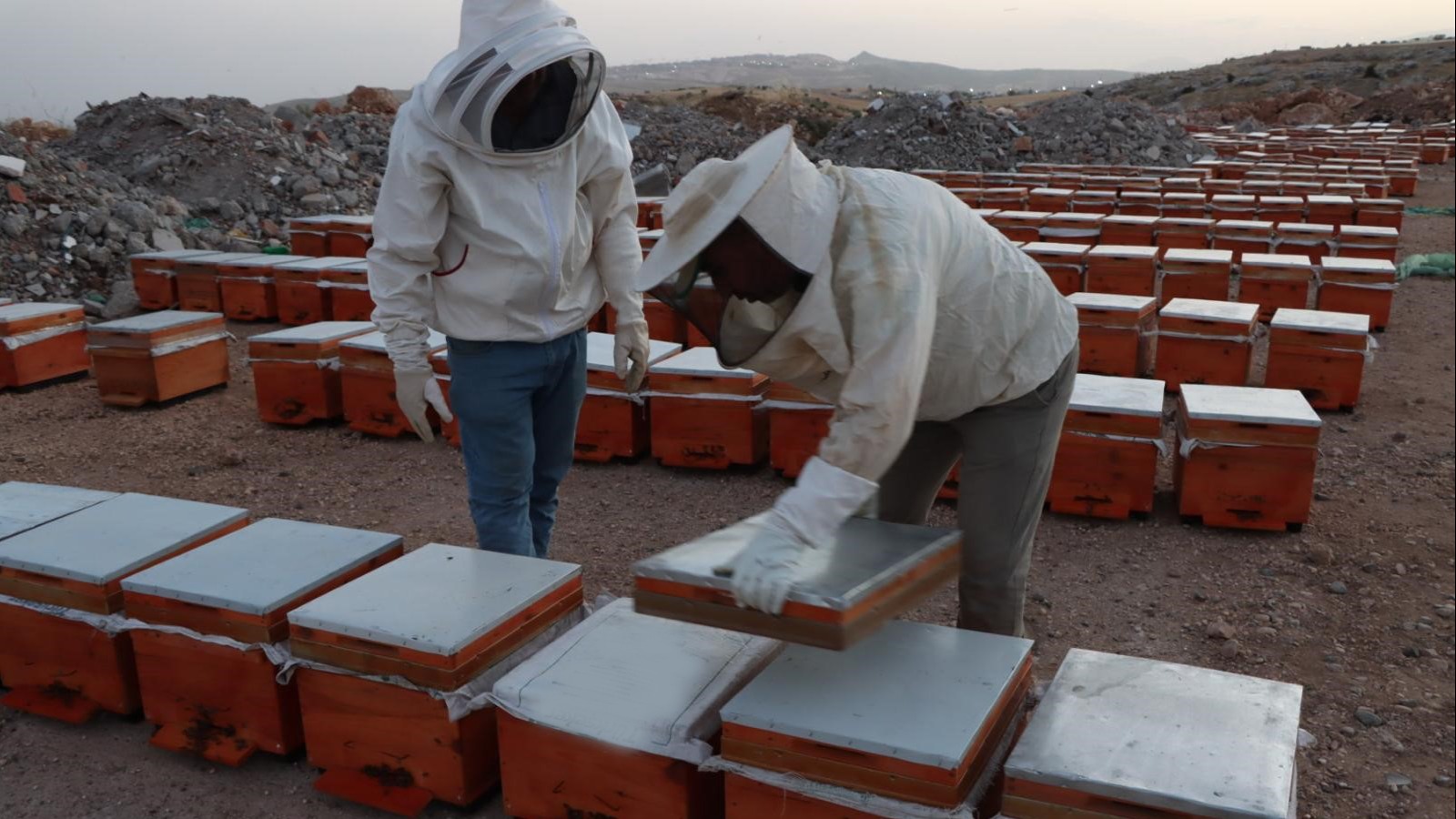 Fiyatlar belli oldu. Kilosu 2 bin 200 liraya kadar çıkıyor