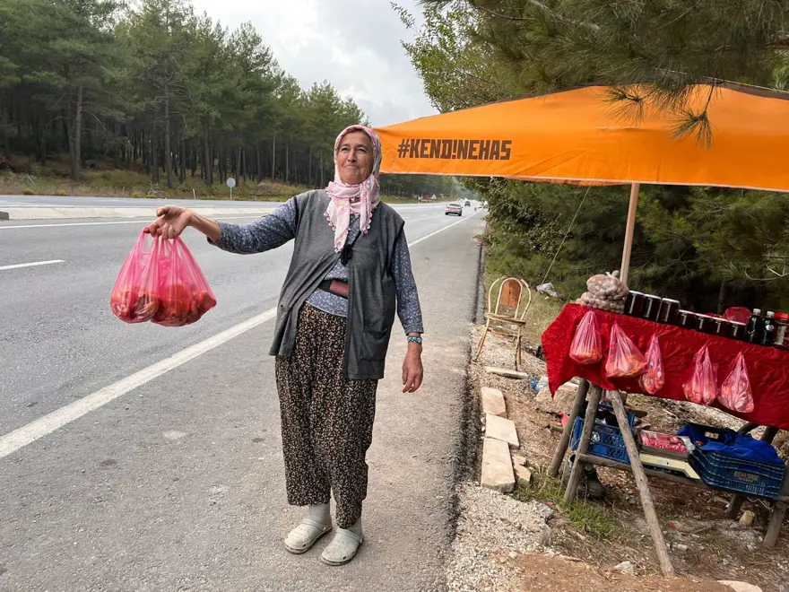 Yol kenarından topladılar şimdi tezgahta: Bir kilosu 600 lira 3
