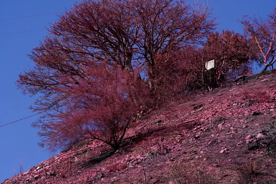 İNSANLAR İÇİN GÜVENLİ Mİ? 4