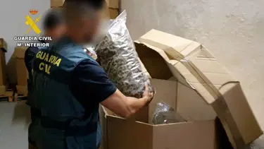 İspanya polisinden rekor uyuşturucu operasyonu