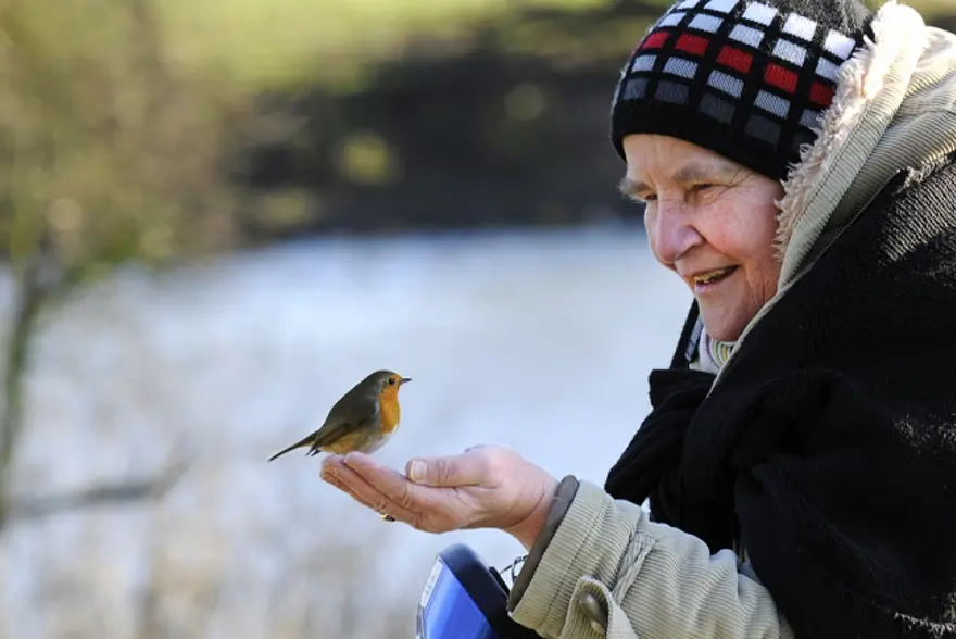 Vahşi yaşamdan çarpıcı kareler 30