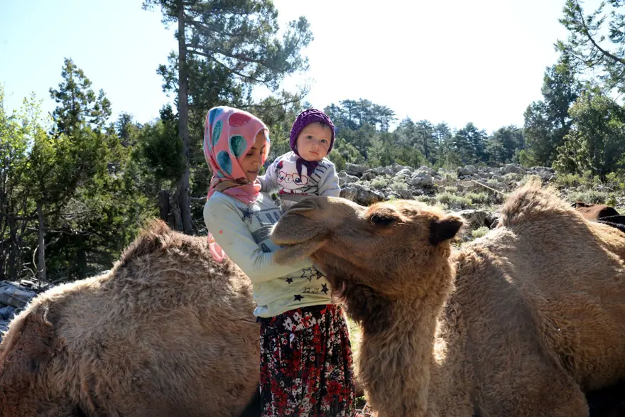 YOLCULUK 20 GÜN SÜRECEK 2