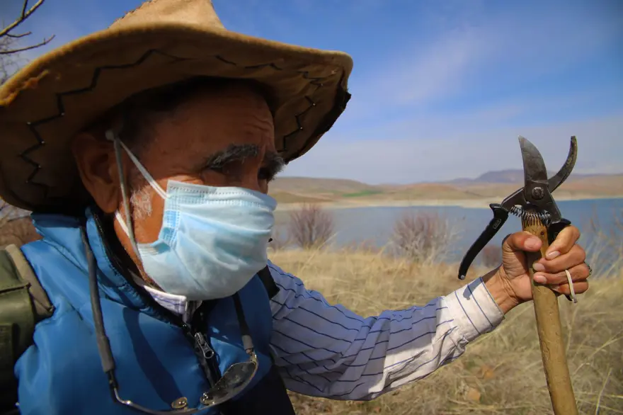 "Robinson Crusoe" Ziya dede hastalandı: Yerleştiği ıssız adayı yeşile bürümüştü 3