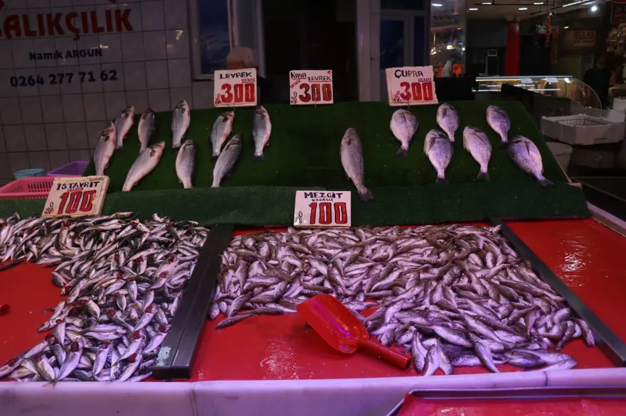 Kilosu 100 liradan satılıyor, hamsiyi geride bıraktı: Her tezgahta bol bol var 3