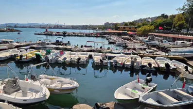 Yasak 1 Eylül'de sona erecek: Bolluk yaşanması bekleniyor