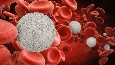 Araştırma: Kan grupları sağlığa dair ipuçları verebilir