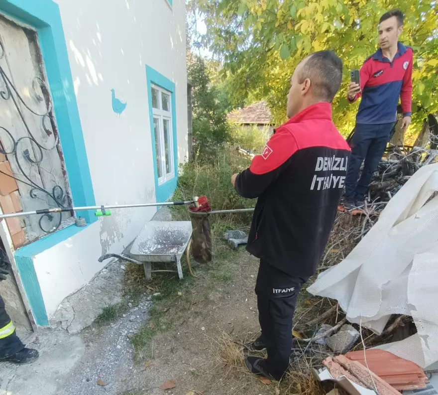 Eve giren 2 metre boyunda yılan girdi: Paniğe neden oldu 1