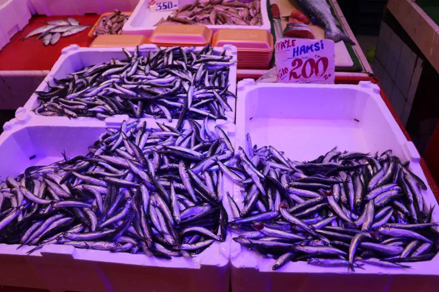 Geçen hafta 100 liraydı, fiyatı 2 katına çıktı: Hamsiyle aynı tezgahı paylaşıyor 3 Geçen hafta 100 liraydı, fiyatı 2 katına çıktı: Hamsiyle aynı tezgahı paylaşıyor 3