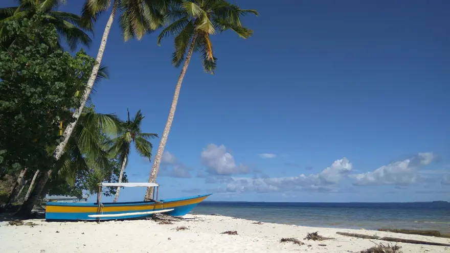 BÖLGE HALKI İÇİN İŞ İMKANLARI YARATACAK 1 BÖLGE HALKI İÇİN İŞ İMKANLARI YARATACAK 1