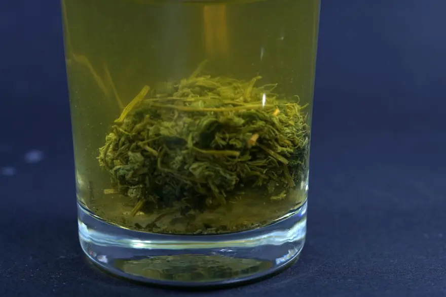 ''Ölümsüzlük otu'' olarak da biliniyor: İç hastalıkları uzmanı ısrarla tavsiye etti 2 ''Ölümsüzlük otu'' olarak da biliniyor: İç hastalıkları uzmanı ısrarla tavsiye etti 2