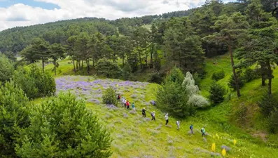 Bozkırın ortasındaki vaha Karadeniz yaylalarını aratmıyor