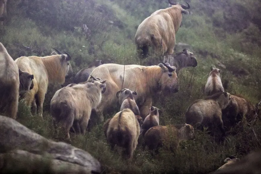 “Haydi! Yeşil Gelecekler” fotoğraf yarışmasının ödülleri açıklandı 35 “Haydi! Yeşil Gelecekler” fotoğraf yarışmasının ödülleri açıklandı 35