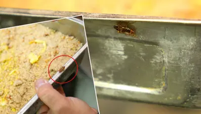 Tatlı imalathanesinde mide bulandıran görüntü