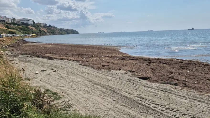 Denizin rengi değişti: Adeta kara toprak parçasına dönüştü 1
