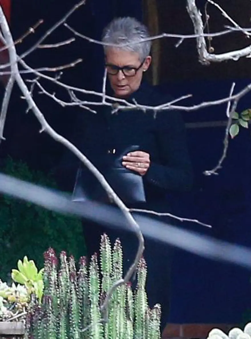 Carrie Fisher ve Debbie Reynolds'a Hollywood yıldızları böyle veda etti 11