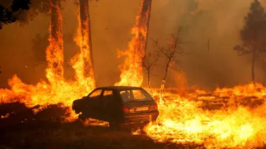 Portekiz'de ormanlar yanıyor: 1 kişi hayatını kaybetti