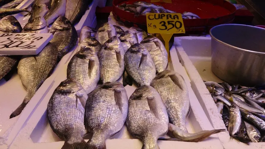 Tezgahta çeşitlilik arttı: "Hamsi bu günlerde karaborsa" 1 Tezgahta çeşitlilik arttı: "Hamsi bu günlerde karaborsa" 1
