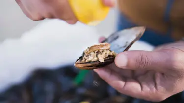 Bodrum'da midye dolma yiyen 50 kişi zehirlendi