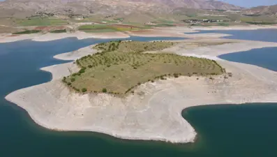 Robinson Ziya dedenin adası baharla birlikte yeşile büründü