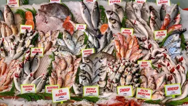 Prof. Dr. Mehmet Gökoğlu: Çiftlik balığında plastik birikimi daha az